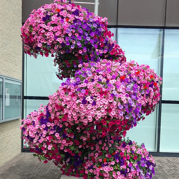 Openbare Bebloeming