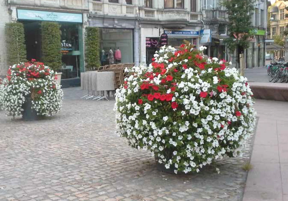 XXL Bloempotten